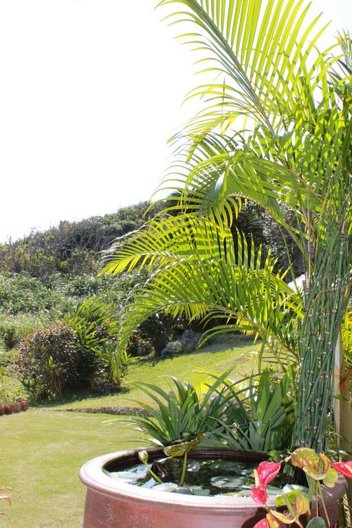 La Casita Kouri Villa Nakijin Exteriör bild